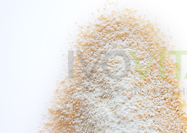 Sunflower Lecithin, powder • IVOVITAL Lecithin Shop Buy organic